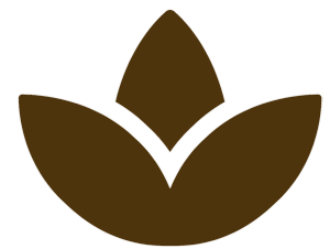 Spa Icon