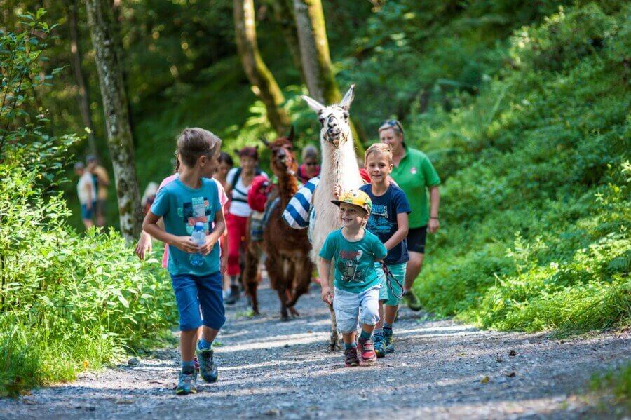 Coll Kids Fun Lamatrekking