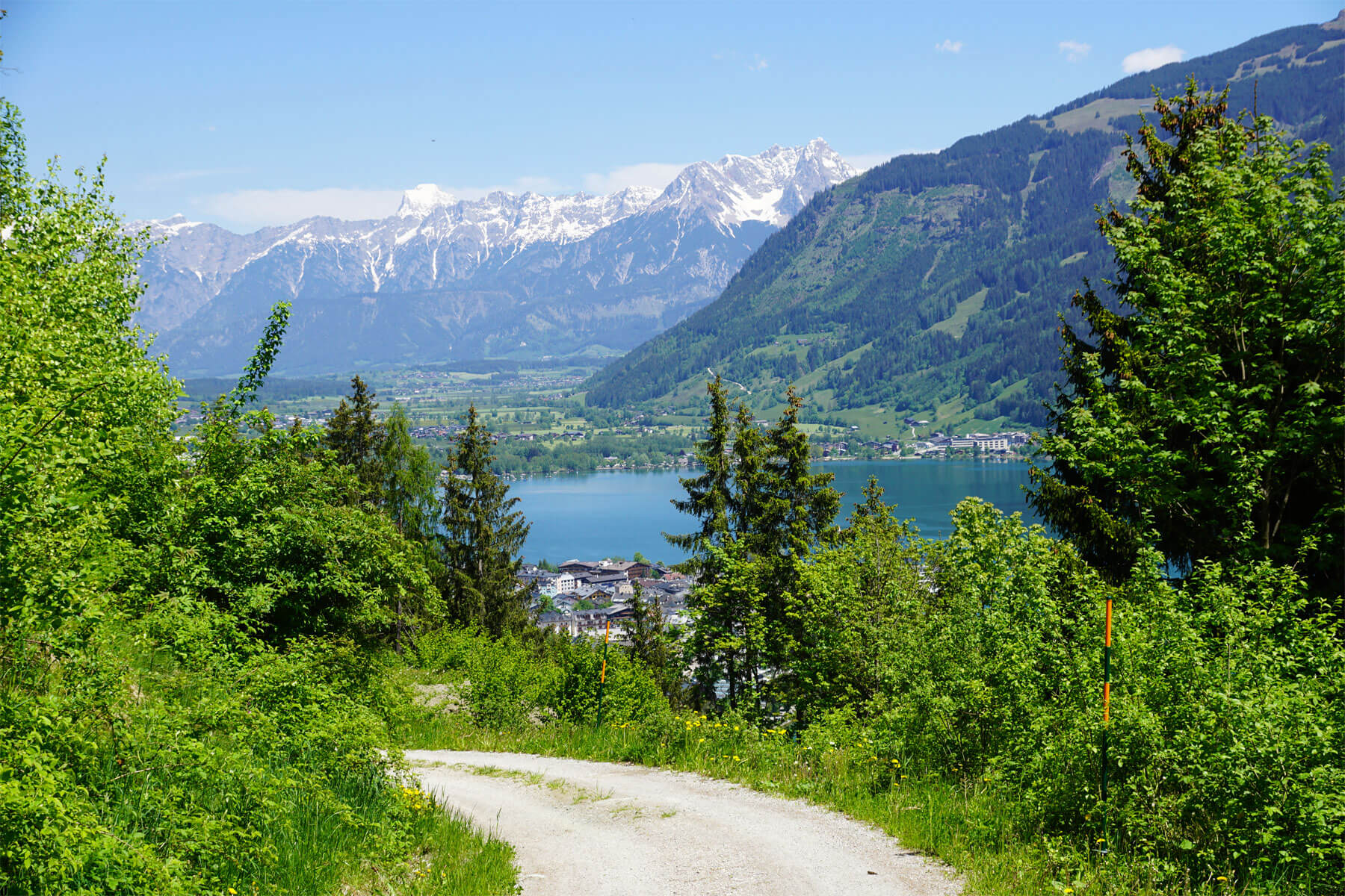 Mountainbike Tour Pinzgau